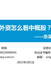 东吴策略·行业风火轮：外资怎么看中概股？