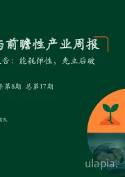 绿色能源与前瞻性产业周报2022年第8期 总第17期：关注政府工作报告：能耗弹性，先立后破