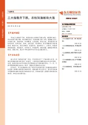 午盘解读：三大指数齐下跌，农牧饲渔板块大涨