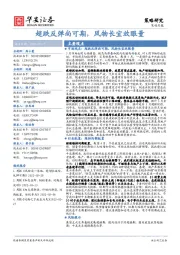 策略月报:超跌反弹尚可期,风物长宜放眼量