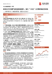 碳中和行业(新能源发电)周报:欧洲光伏市场景气度有望持续提升,国内“十四五”光伏需求确定性较强