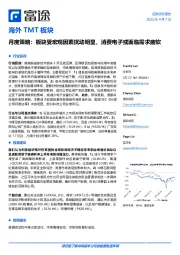 海外TMT板块月度策略:板块受宏观因素扰动明显,消费电子或面临需求疲软