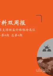 新材料双周报2022年第4期总第4期：全球锂资源紧张支撑锂盐价格维持高位