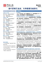 市场点评：海外紧缩引波动，内部稳增长被强化