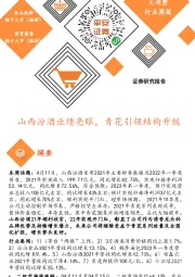大消费行业周报：山西汾酒业绩亮眼，青花引领结构升级