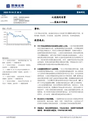 策略点评报告：从周期到消费