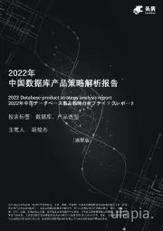 2022年中国数据库产品策略解析报告（摘要版）