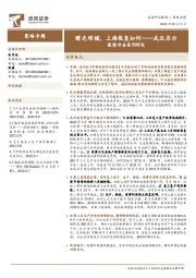 武汉启示疫情冲击系列研究：曙光明媚，上海恢复如何