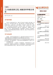 午盘解读：三大指数涨跌互现，核酸采样亭概念领涨