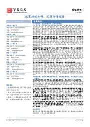 策略周报:政策持续加码,反弹行情延续