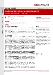 交运社服行业周报（5月第3周）：国内客运航班资金补贴落地；海汽集团拟收购海旅免税
