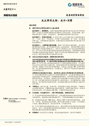 股票投资策略简报：先反弹再反转：成长+消费