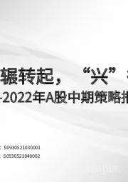 2022年A股中期策略报告：“愁”因辗转起，“兴”待深秋发