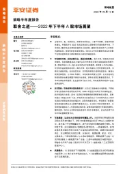 策略半年度报告：2022年下半年A股市场展望：取舍之道