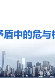 矛盾中的危与机