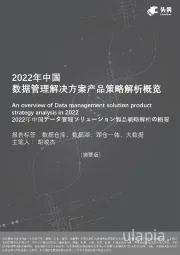 2022年中国数据管理解决方案产品策略解析概览（摘要版）