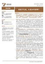策略周报：美股不见底，A股如何演绎？