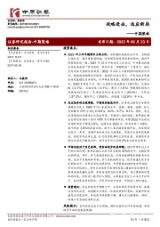 中期策略：战略进击，适应新局