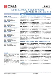 大类资产配置月报第12期：2022年7月——大宗商品进入回调期，国内权益仍有超配价值