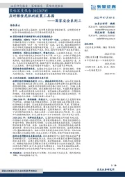 国家安全系列三：应对粮食危机的政策工具箱