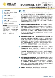 资产负债表衰退系列（二）：新兴市场债务风暴：谁是下一个斯里兰卡？