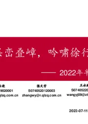 2022年半年度投资策略报告：层峦叠嶂，吟啸徐行