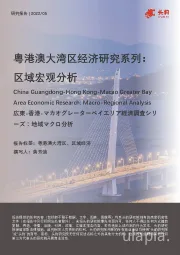 粤港澳大湾区经济研究系列：区域宏观分析