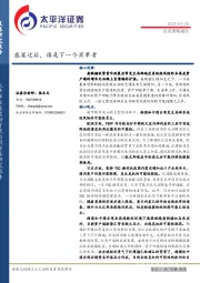 投资策略报告：盛宴过后，谁是下一个买单者