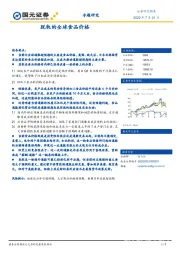 专题研究：脱轨的全球食品价格