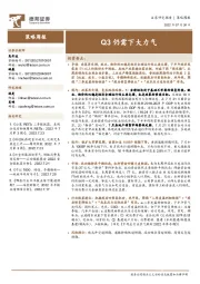 策略周报：Q3仍需下大力气