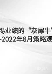 2022年8月策略观点：警惕业绩的“灰犀牛”