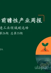 绿色能源与前瞻性产业周报2022年第26期总第35期：三部委推进工业领域碳达峰