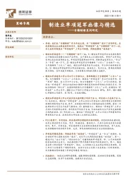 专精特新系列研究：制造业单项冠军画像与精选