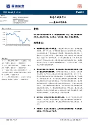 策略点评报告：降息之后买什么