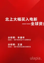 全球资金观察系列二十一：北上大幅买入电新