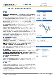 策略点评：市场调整观察及后市看法