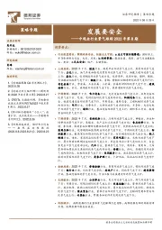 中观全行业景气跟踪2022年第8期：发展要安全