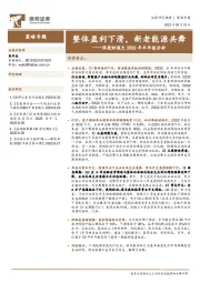 深挖财报之2022年半年报分析：整体盈利下滑，新老能源共舞
