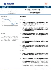 策略专题研究报告：哪些价值细分板块可以布局？