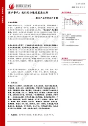 新兴产业研究系列专题：国产替代：我们的征途是星辰大海