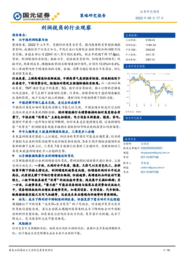 策略研究报告：利润视角的行业观察
