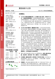 2022年10月份投资策略报告:震荡修复中反弹