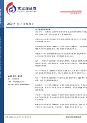 2022年10月金股组合