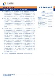 投资策略定期报告：喜迎盛会：增强“底”气，A股不怕压