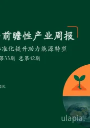 绿色能源与前瞻性产业周报2022年第33期总第42期：能源“双碳”标准化提升助力能源转型