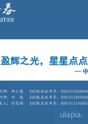 中观景气纵览第23期：盈辉之光，星星点点