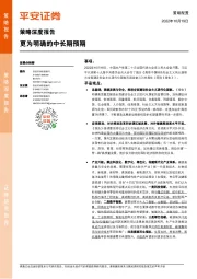 策略深度报告：更为明确的中长期预期