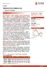 锂电池行业深度报告:消费电池巨头的动力储能成长之路