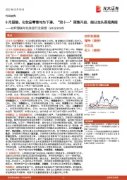 纺织服装与化妆品行业周报:9月服装、化妆品零售均为下滑,“双十一”预售开启、细分龙头表现亮眼