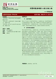 市场分析：消费新能源领涨，A股大幅上扬